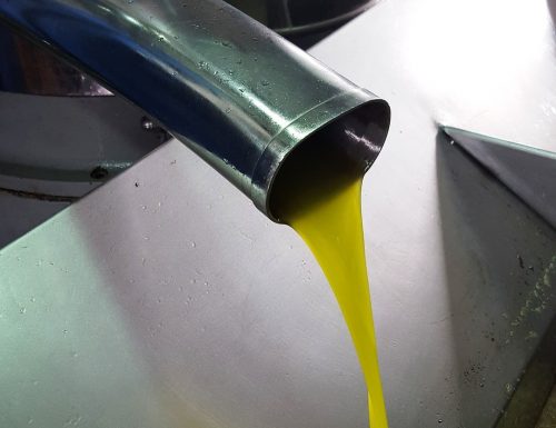 L’olio d’oliva americano sta per avere il suo momento?